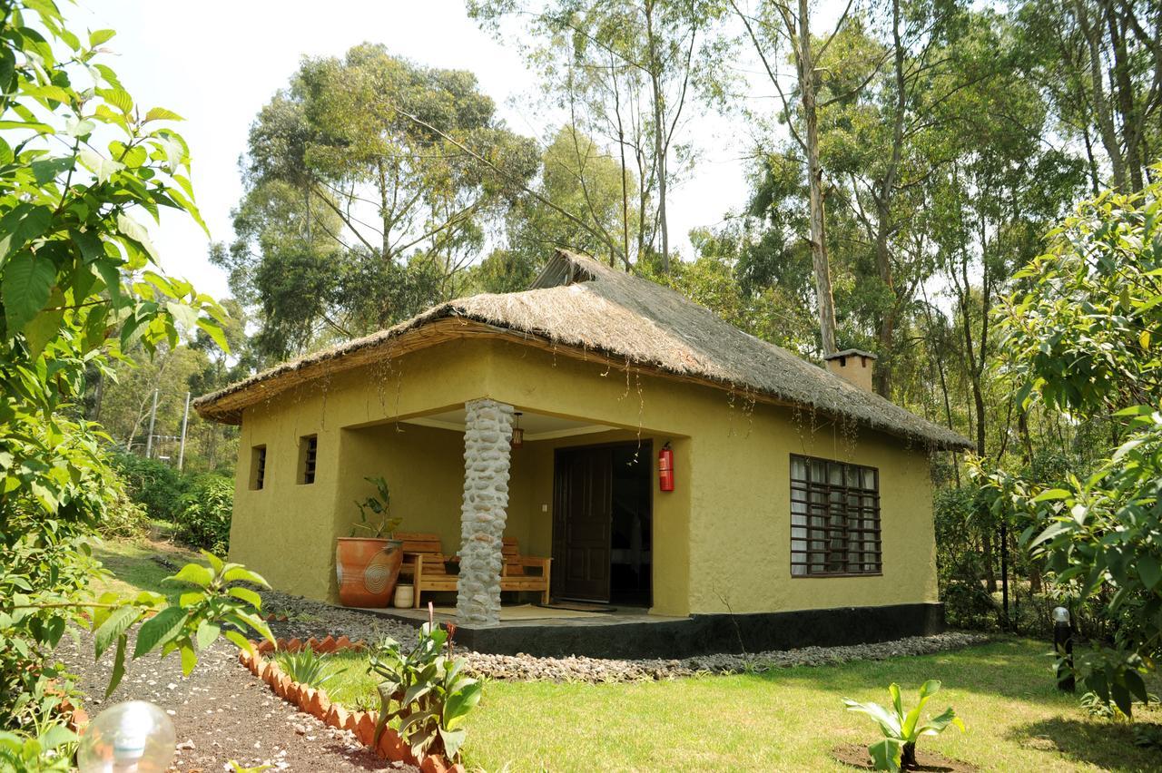 Davinci Gorilla Lodge Kinigi Buitenkant foto